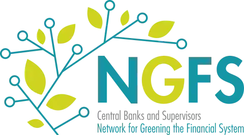 Network for Greening the Financial System (NGFS)
